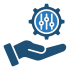 customization